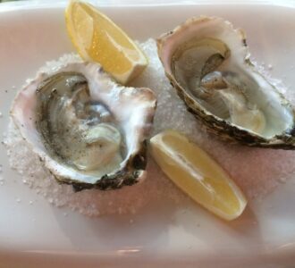 novy-zeland-oysters-kukabara