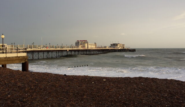worthing-kukabara